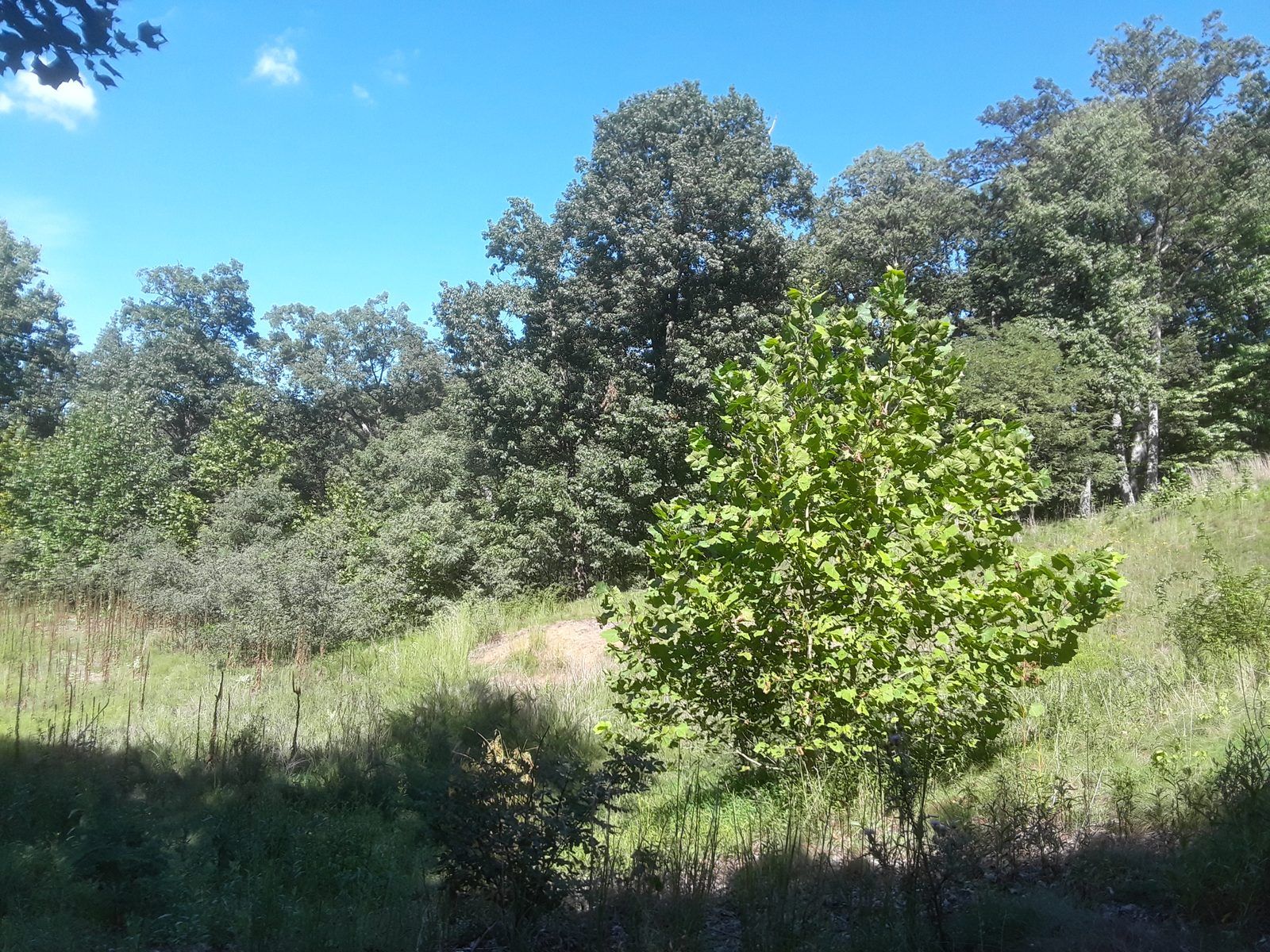 Shenandoah River Campus at Cool Spring Battlefield (Clarke County, Virginia) 77