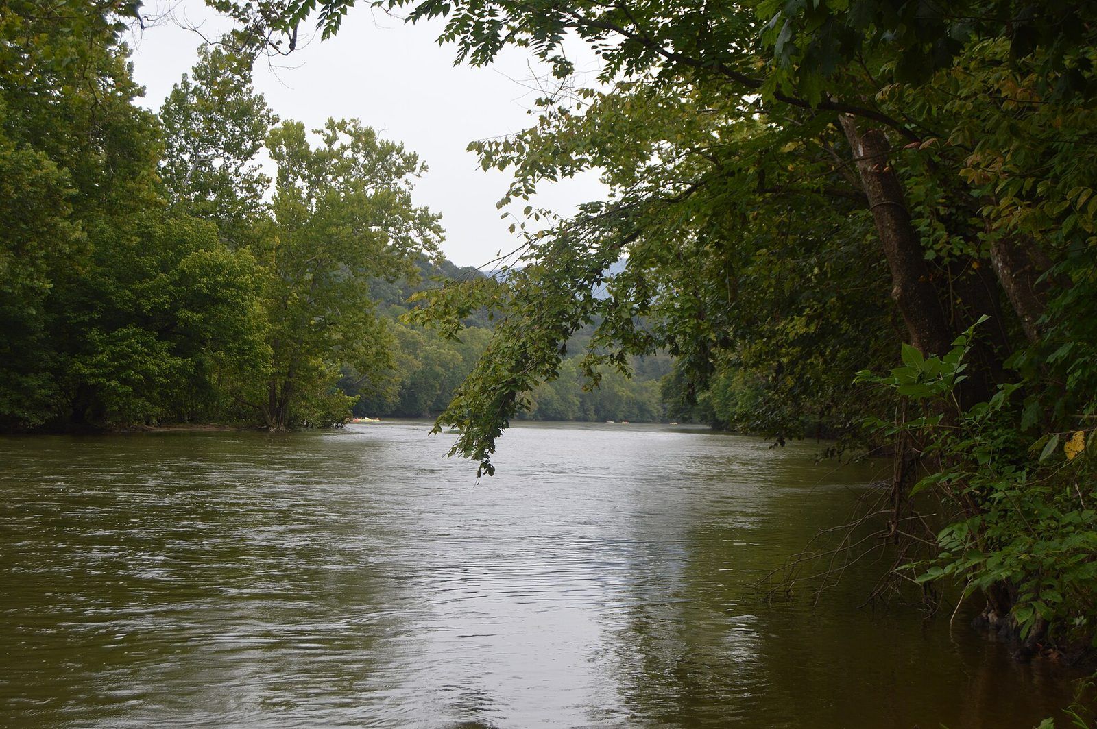 Shenandoah River near Flint Run
