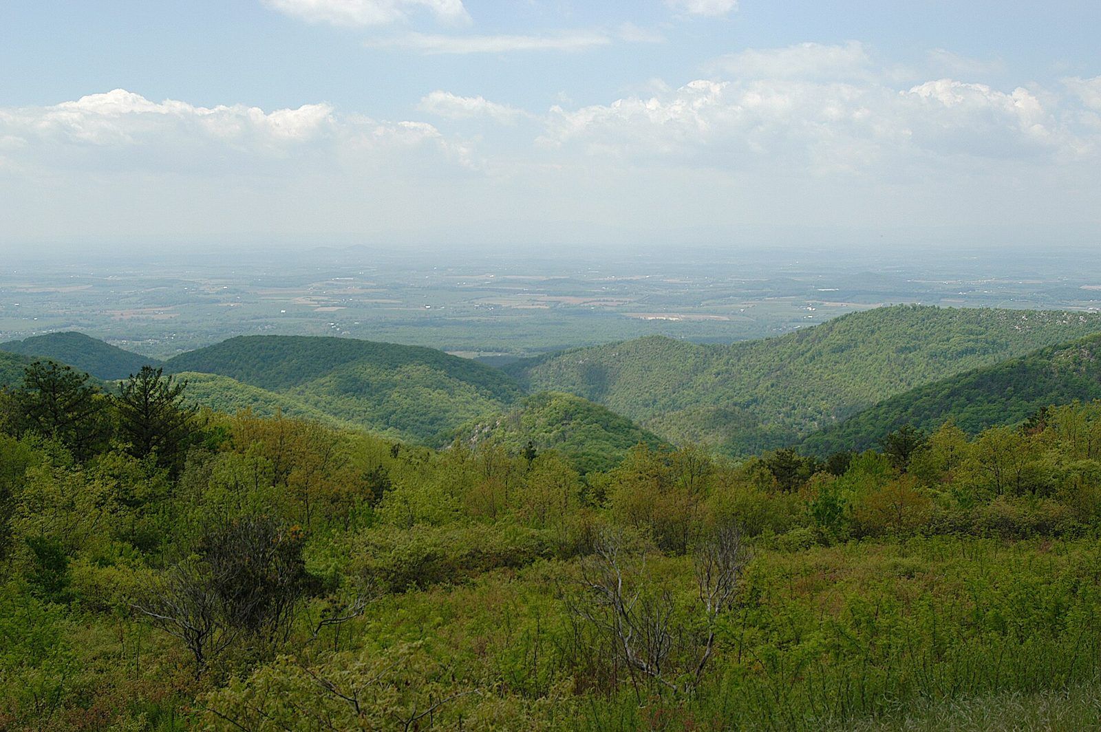 2005-05-21 13-40-05 Riprap Overlook looking west Shenandoah National Park VA